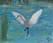 H&eacute;ron sur mare