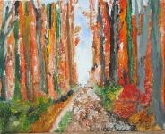 Sous bois en for&ecirc;t