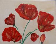 Coquelicots -